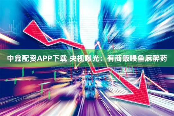 中鑫配资APP下载 央视曝光：有商贩喂鱼麻醉药