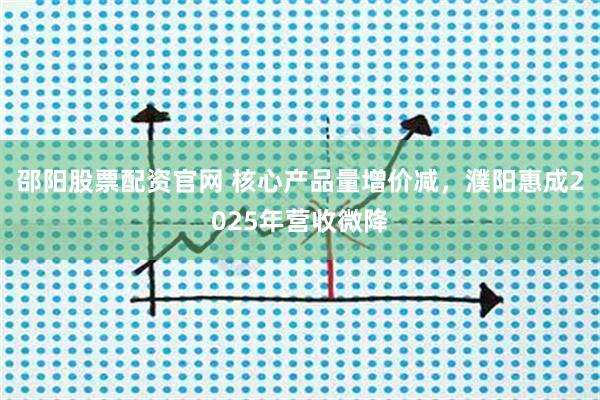 邵阳股票配资官网 核心产品量增价减，濮阳惠成2025年营收微降