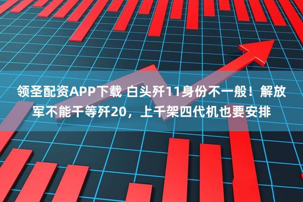领圣配资APP下载 白头歼11身份不一般！解放军不能干等歼20，上千架四代机也要安排
