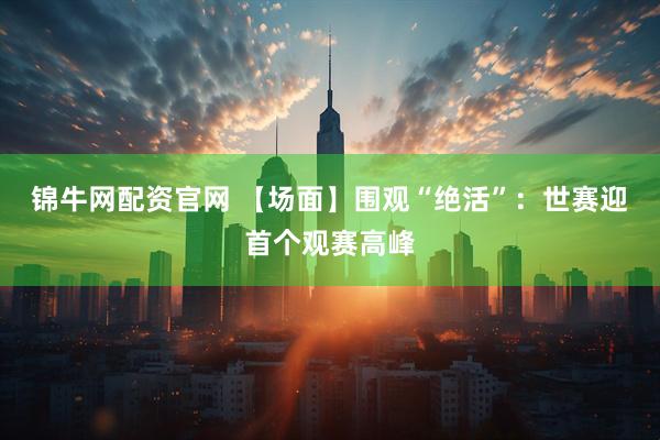 锦牛网配资官网 【场面】围观“绝活”：世赛迎首个观赛高峰